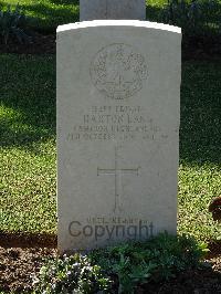 Salonika (Lembet Road) Military Cemetery - Lang, Haxton